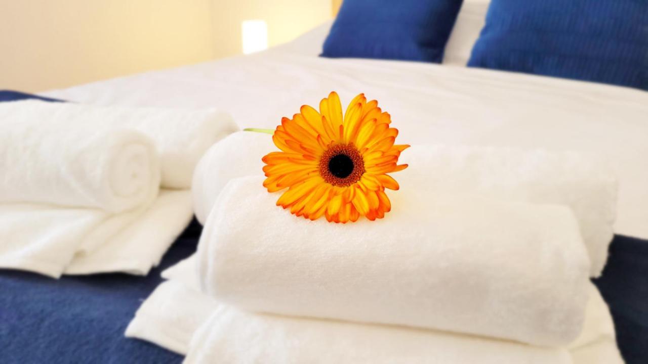 Victoria Apartment - Center Of Ponta Delgada Ngoại thất bức ảnh